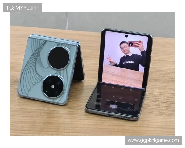 pock的使用技巧与常见误区，帮助用户更好掌握